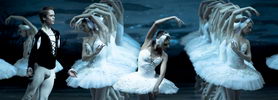 swan_sarafanov_bondareva_278x100.jpg