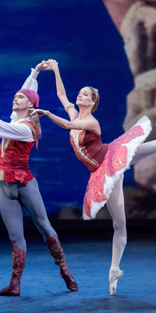 LeCorsaire isawinner
