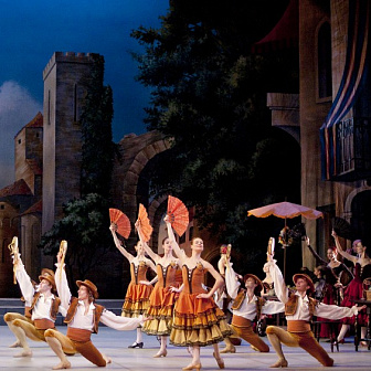 Bolshoi Theatre stars to perform in Don Quixote