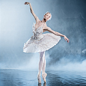 Приглашение на репетицию балета «Лебединое озеро»